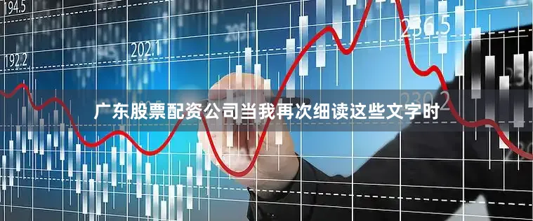广东股票配资公司当我再次细读这些文字时